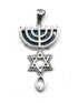 Sterling Silver With Stone of Israel Grafted In Pendant