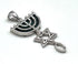 Sterling Silver With Stone of Israel Grafted In Pendant