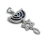 Sterling Silver With Stone of Israel Grafted In Pendant